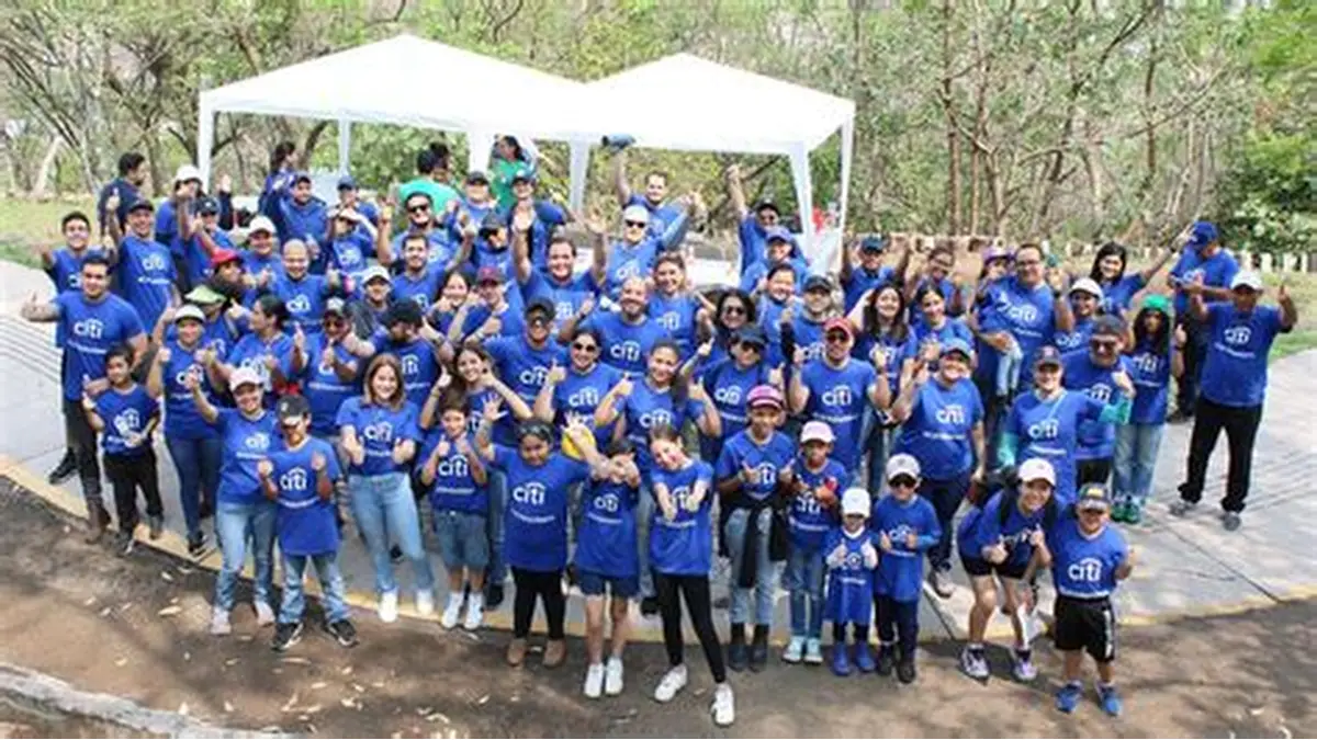 OIP 13
