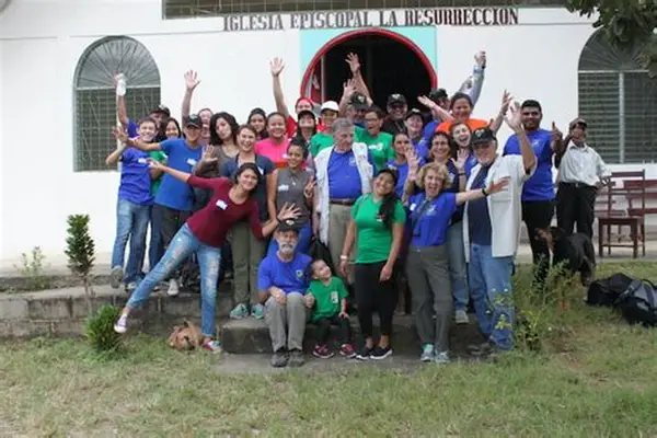 OIP 15